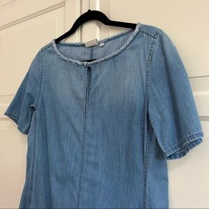 AG denim dress